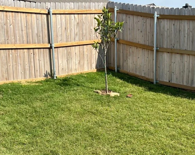 Fencing